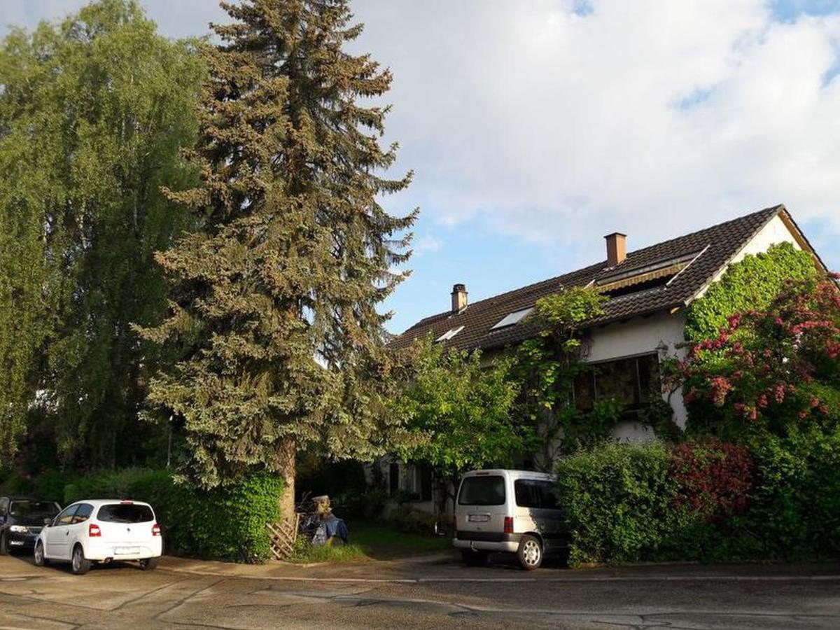 Апартаменты Haus Zur Bienenweide Шёмберг Экстерьер фото