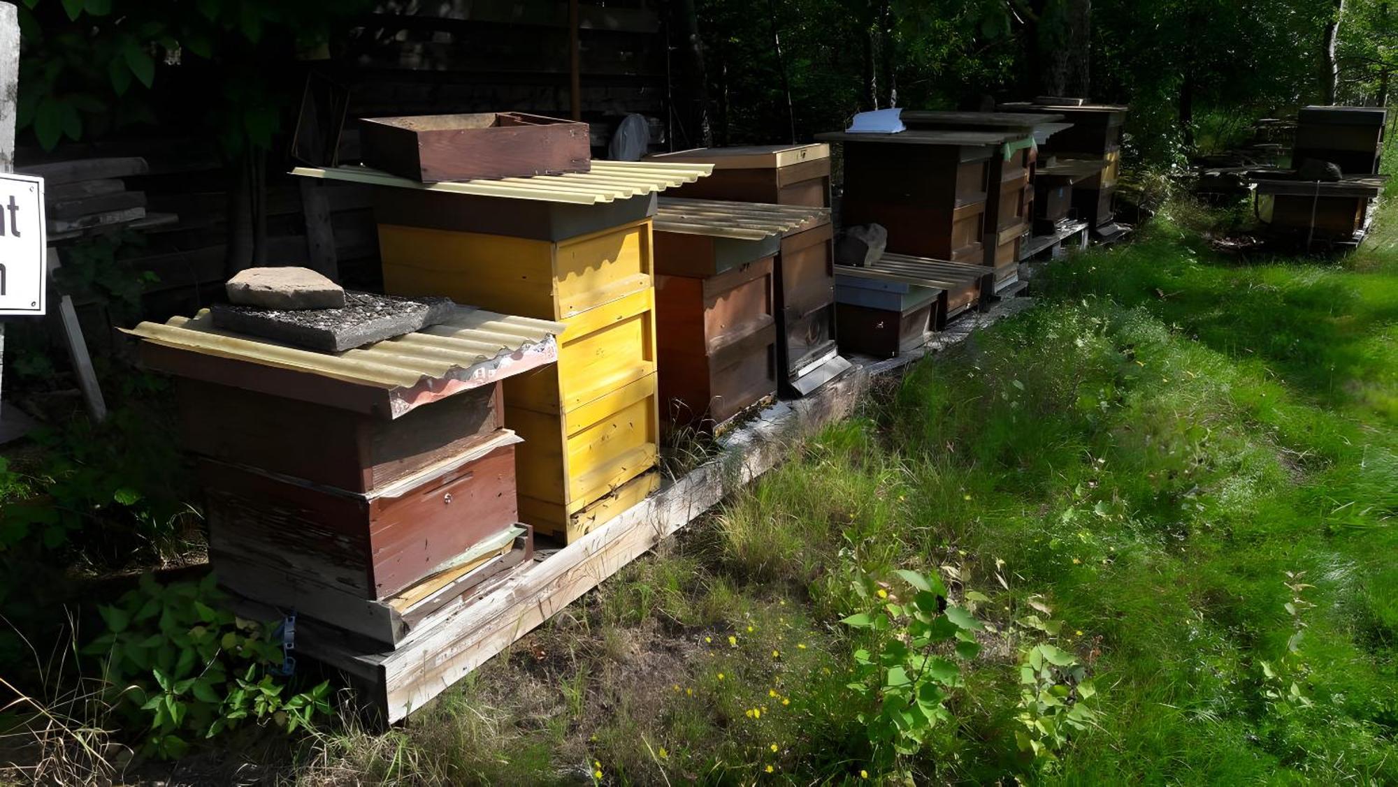 Апартаменты Haus Zur Bienenweide Шёмберг Экстерьер фото